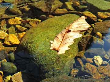 排球联赛赛场规则微调汇总，排球联赛竞赛规程